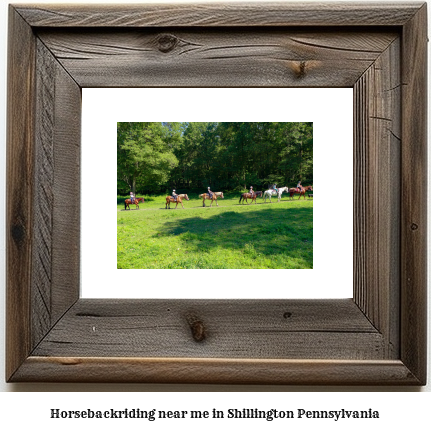 horseback riding near me in Shillington, Pennsylvania